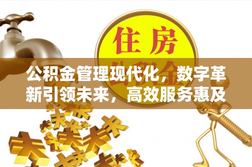 花地玛堂区公积金管理现代化，数字革新引领未来，高效服务惠及民生