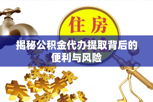 花地玛堂区揭秘公积金代办提取背后的便利与风险