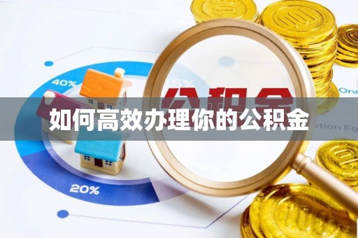 花地玛堂区如何高效办理你的公积金