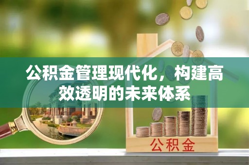 花地玛堂区公积金管理现代化，构建高效透明的未来体系