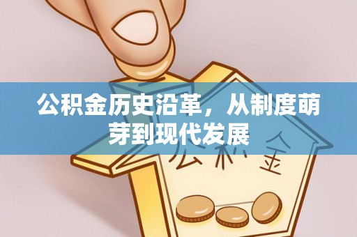 花地玛堂区公积金历史沿革，从制度萌芽到现代发展