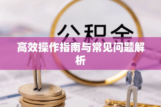 花地玛堂区高效操作指南与常见问题解析