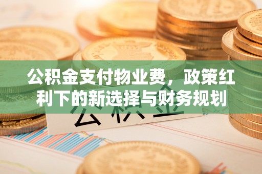 花地玛堂区公积金支付物业费，政策红利下的新选择与财务规划