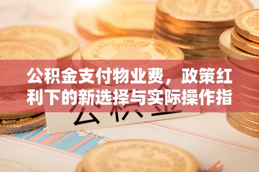 花地玛堂区公积金支付物业费，政策红利下的新选择与实际操作指南