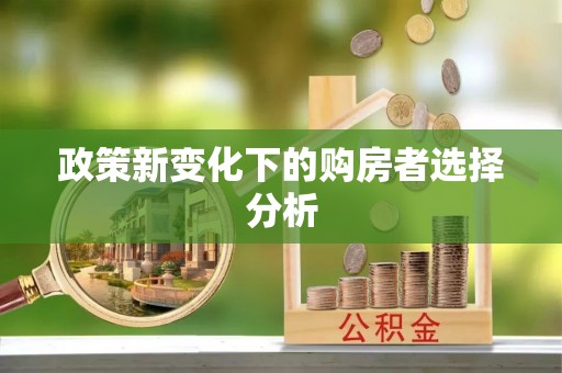 花地玛堂区政策新变化下的购房者选择分析