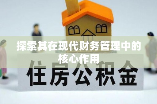 花地玛堂区探索其在现代财务管理中的核心作用