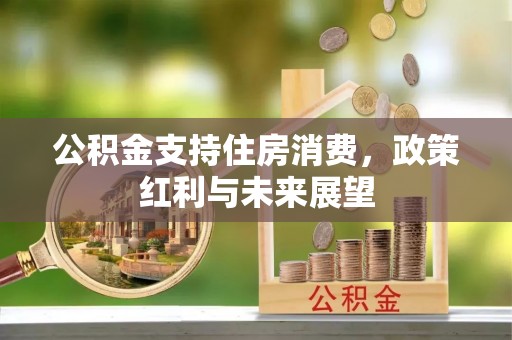 花地玛堂区公积金支持住房消费，政策红利与未来展望