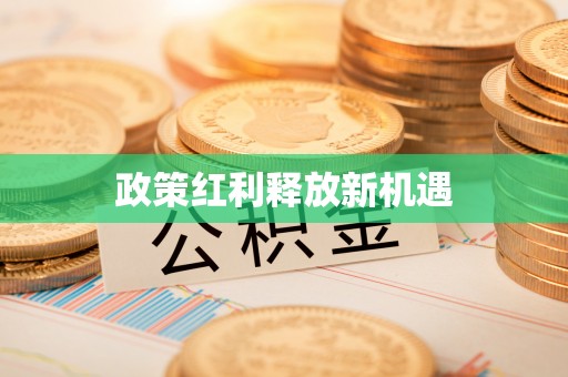 花地玛堂区政策红利释放新机遇