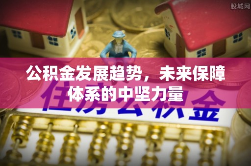 花地玛堂区公积金发展趋势，未来保障体系的中坚力量