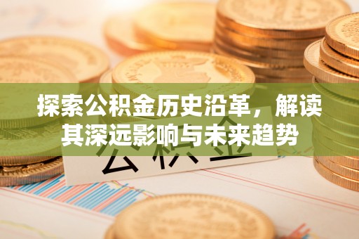 花地玛堂区探索公积金历史沿革，解读其深远影响与未来趋势