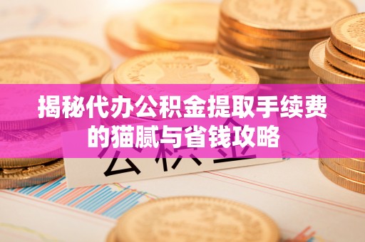 花地玛堂区揭秘代办公积金提取手续费的猫腻与省钱攻略