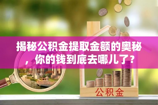 花地玛堂区揭秘公积金提取金额的奥秘，你的钱到底去哪儿了？