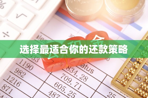 花地玛堂区选择最适合你的还款策略